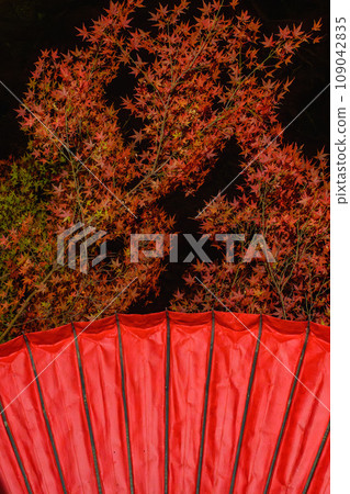 Autumn leaves garden, 30th Garden, Unzen City, Nagasaki Prefecture Autumn leaves garden, 30th Garden, Unzen City, Nagasaki Prefecture 109042835