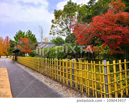 Roadside Station Hitoyoshi, Hitoyoshi Craft Park Ishino Park, around the time of autumn leaves Roadside Station Hitoyoshi, Hitoyoshi Craft Park Ishino Park, around the time of autumn leaves 109043937
