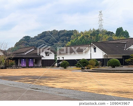 Roadside Station Hitoyoshi, Hitoyoshi Craft Park Ishino Park, around the time of autumn leaves 109043967