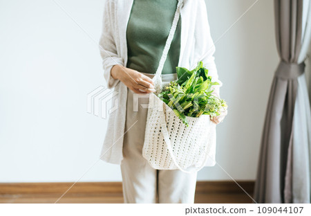 Woman holding mesh shopping bag with fresh vegetables,No plastic bag,Zero waste,Environmental friendly,Healthy green 109044107