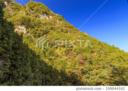 Kagori-gawa's autumn leaves Kagori-gawa's autumn leaves 109044162