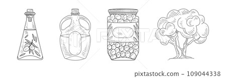 Olive Fresh and Ripe Organic Product Hand Drawn Vector Set 109044338