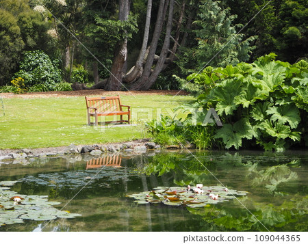 Spring scenery at Christchurch Botanic Gardens Spring scenery at Christchurch Botanic Gardens 109044365