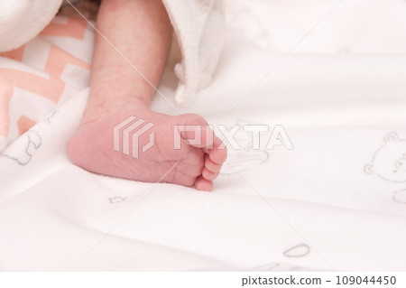 【新生兒腳底】 109044450