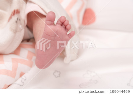 [Newborn baby soles of feet] 109044469