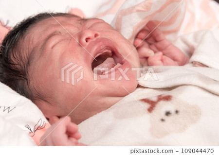 [Newborn baby cries] 109044470