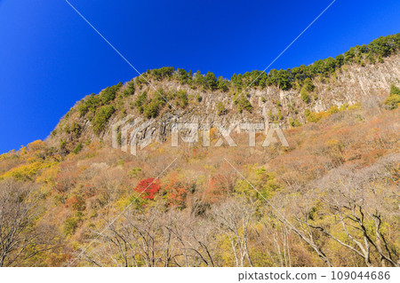 Autumn Byobuiwa Koen 109044686