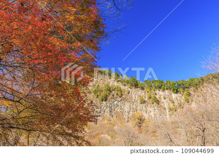 Autumn Byobuiwa Koen 109044699