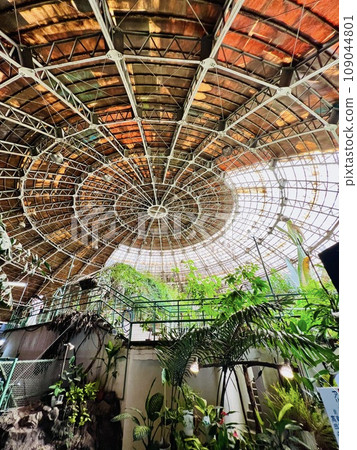 草津熱帶地區風景如畫的天花板 草津熱帶地區風景如畫的天花板 109044801