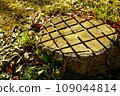 patterned stump 109044814