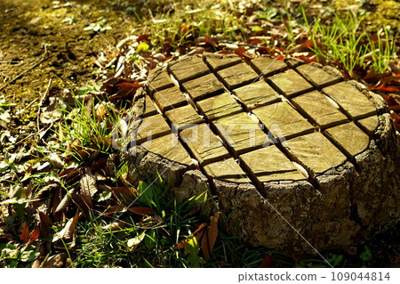 patterned stump patterned stump 109044814