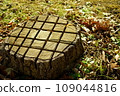 Stubble pattern 109044816
