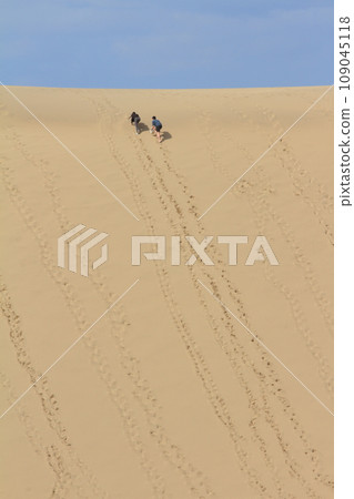 夫婦攀登鳥取沙丘的陡坡 109045118