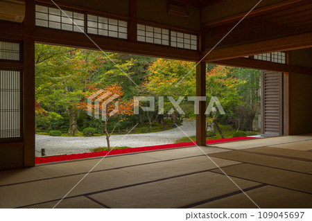 Autumn leaves of Jugyu no Niwa seen from Enkoji Temple Zuiunkaku 109045697