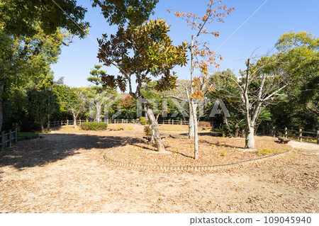 道後公園廣場 道後公園廣場 109045940