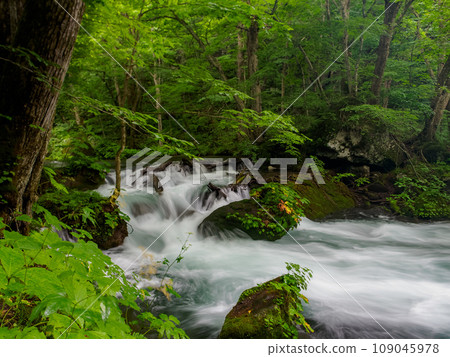 A small waterfall of the Oirase Stream A small waterfall of the Oirase Stream 109045978