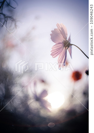 A somewhat lonely cosmos 109046243