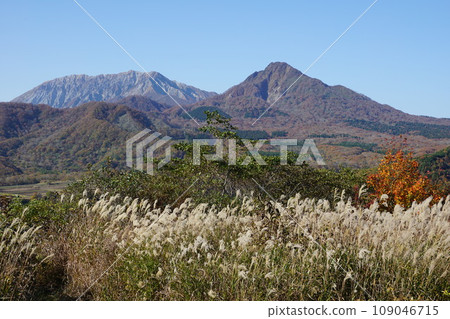 秋天的蒲葦和大山 秋天的蒲葦和大山 109046715
