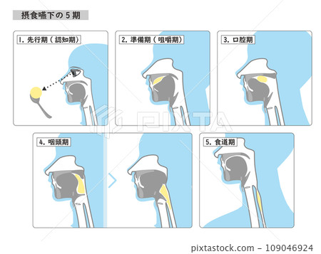 吞嚥第五階段的簡單四色插圖 吞嚥第五階段的簡單四色插圖 109046924