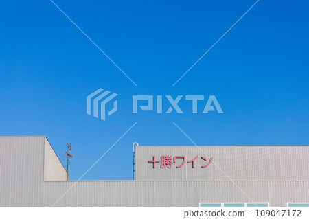 Hokkaido Ikeda Wine Castle close-up 109047172