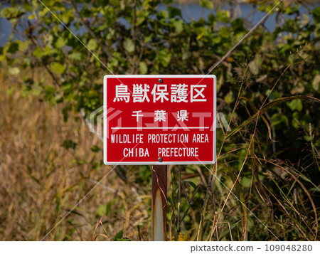 Chiba Prefecture designated bird and animal protection area sign (Teganuma) Chiba Prefecture designated bird and animal protection area sign (Teganuma) 109048280