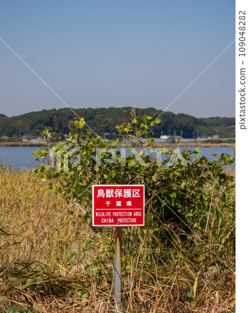 Chiba Prefecture designated bird and animal protection area sign (Teganuma) Chiba Prefecture designated bird and animal protection area sign (Teganuma) 109048282