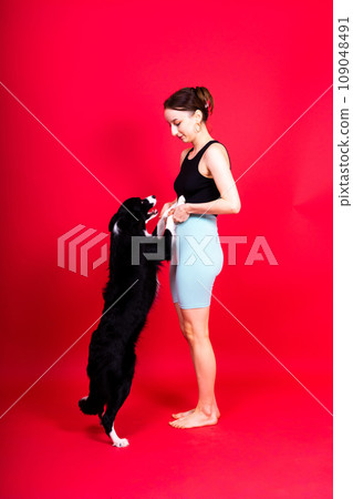 Cute young woman kisses and hugs her puppy border collie dog. Love between owner and dog. Cute young woman kisses and hugs her puppy border collie dog. Love between owner and dog. 109048491