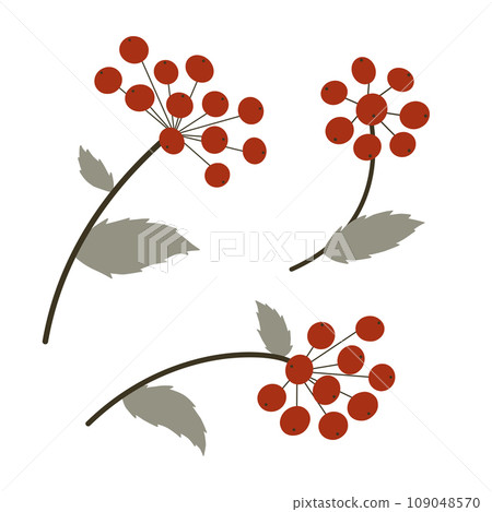 Vector set of branches with red berries. Rowan tree berry flat cartoon stylized illustration isolated on white background. Floral decorative elements for Christmas, winter holidays, autumn design 109048570
