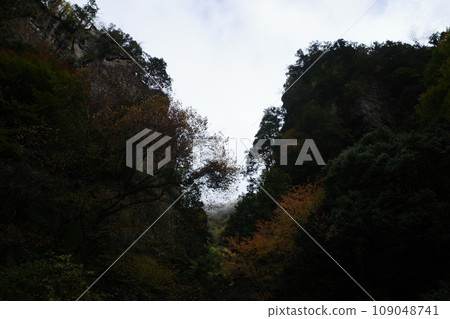 檜原村的神戶岩 檜原村的神戶岩 109048741