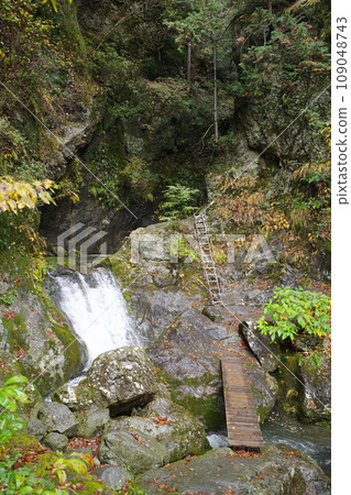 沿著日野原村神戶岩山谷的長廊,有橋樑和梯子。 沿著日野原村神戶岩山谷的長廊,有橋樑和梯子。 109048743