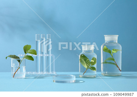 Front view of laboratory equipment containing colorless liquid and fresh green tea leaves on blue background. Empty space for display your product. Lab theme for advertising, green tea extract Front view of laboratory equipment containing colorless liquid and fresh green tea leaves on blue background. Empty space for display your product. Lab theme for advertising, green tea extract 109049987