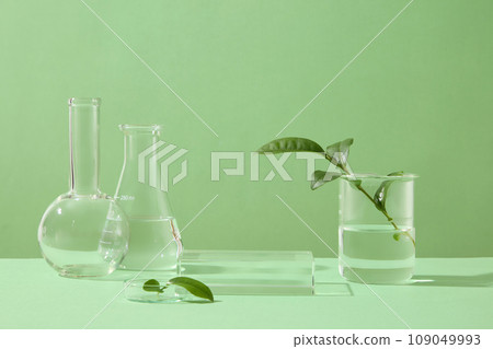 Glass podium and glass equipment decorated on green background with green tea leaves. Background images for advertising. Cosmetic concept of green tea ingredients 109049993