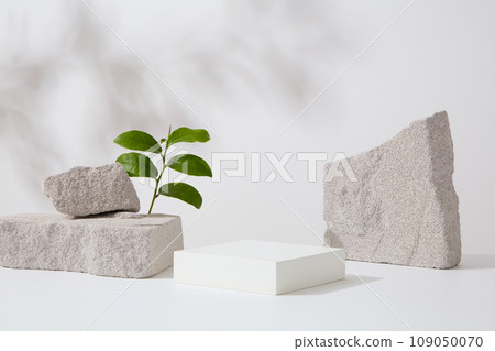 Minimal style, advertising photo with green tea leaves decorated on white background. White podium and gray block of stone displayed, space for presentation product. Front view Minimal style, advertising photo with green tea leaves decorated on white background. White podium and gray block of stone displayed, space for presentation product. Front view 109050070