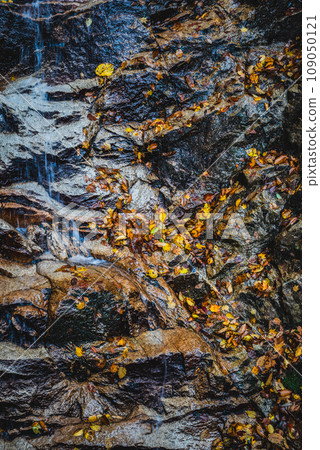 Rock surface wet with spring water [Nakabusa Valley] 109050121