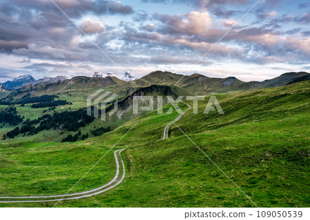 Landscape of green hill of swiss alps with trail path and blue sky at Switzerland 109050539