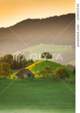 Sunrise over green hill with lonely tree and wooden hut in foggy at Switzerland 109050548