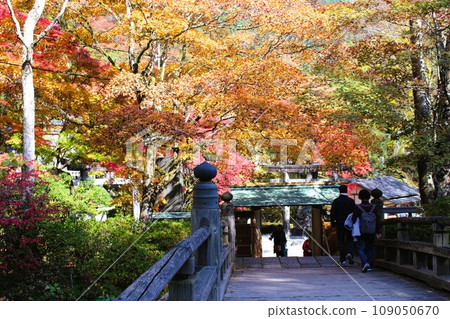 Kanuma City Kogamine Shrine Kanuma City Kogamine Shrine 109050670