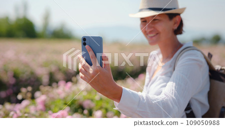 woman enjoying the aroma and make photo in her smartphone in Field of Damascena roses in sunny summer day . village Guneykent in Isparta region, Turkey a real paradise for eco-tourism. 109050988