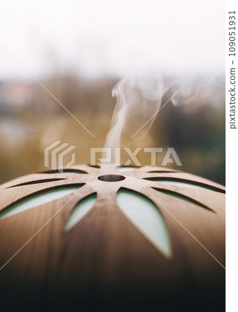 Air humidifier. Aroma diffuser close-up. A stream of steam close-up and other details blurry. The composition creates a romantic mood. Muted tones, window view and slowly rising cold steam 109051931