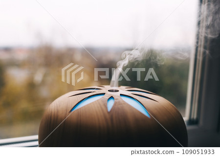 Air humidifier. Aroma diffuser close-up. A stream of steam close-up and other details blurry. The composition creates a romantic mood. Muted tones, window view and slowly rising cold steam 109051933