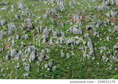 Landscape photo Landscape photo 109052179