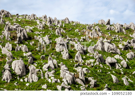 Landscape photo 109052180