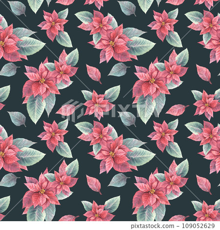 Watercolor painted illustration of red poinsettia, pulcherrima flowers, leaves seamless pattern. Traditional plant for Christmas or New Year decor, gift wrapping, cover art. Isolated, dark background 109052629
