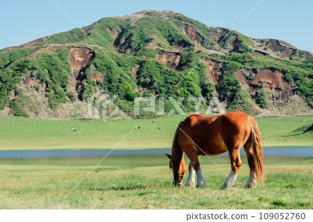 Scenery of Aso 109052760