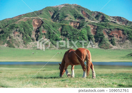 Scenery of Aso 109052761