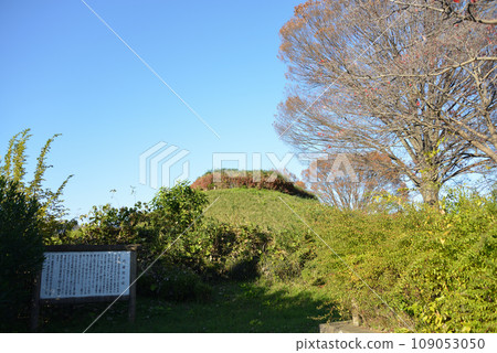 Masuda Pond Proposition Masuda Pond Proposition 109053050