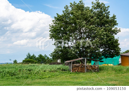 Summer sky and grassland image Summer sky and grassland image 109053150