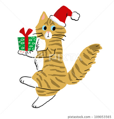 A cat carrying a Christmas present with its paws 109053565