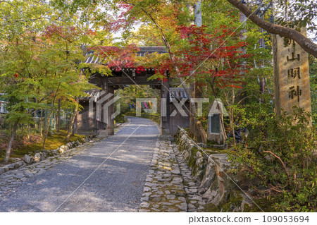 Kyoto, Akayama Zen-in Temple in autumn, Sanmon gate covered in autumn leaves 109053694