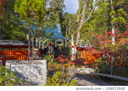 秋天的京都赤山禪院，主殿被秋葉覆蓋 109053698